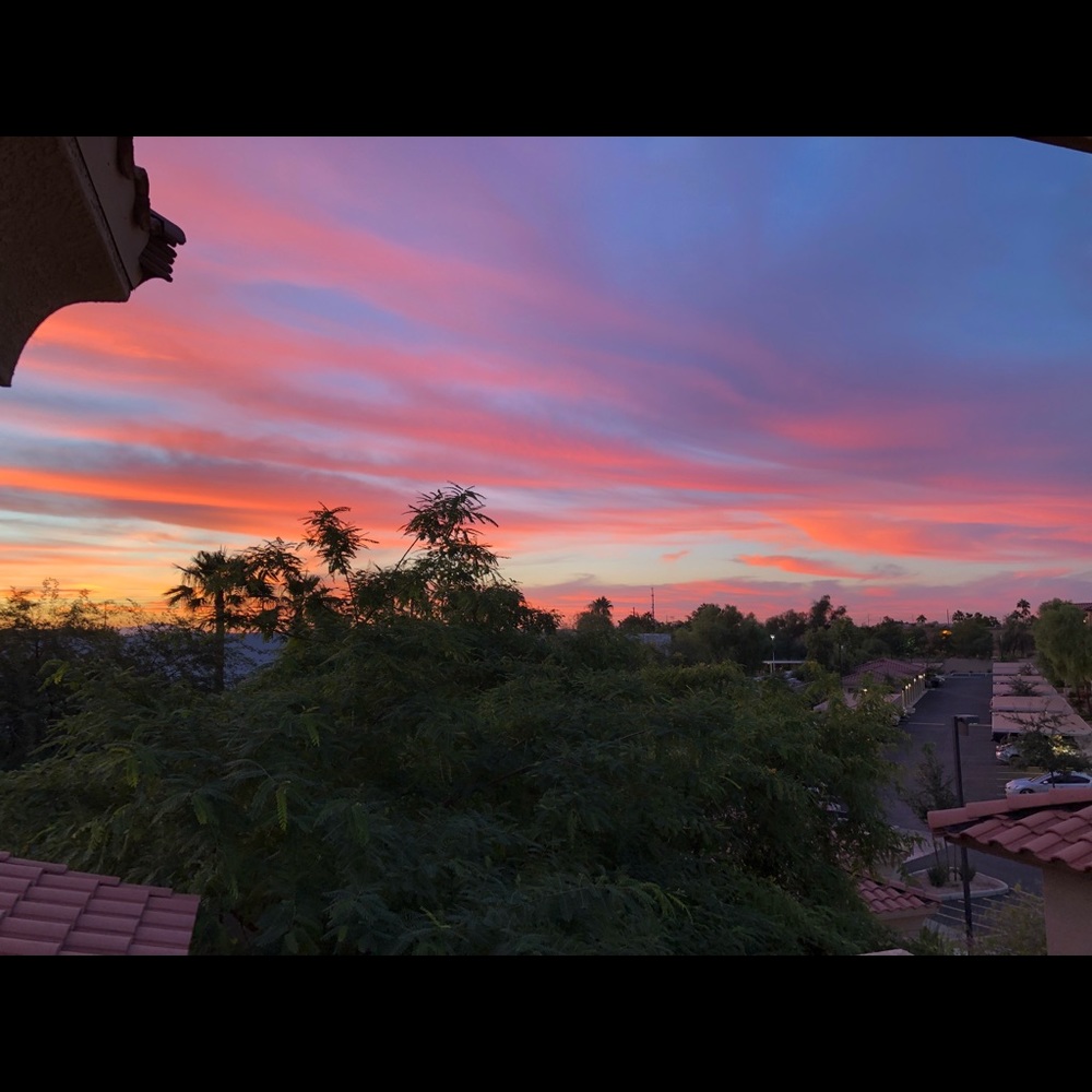 Meet your Posher, Terry